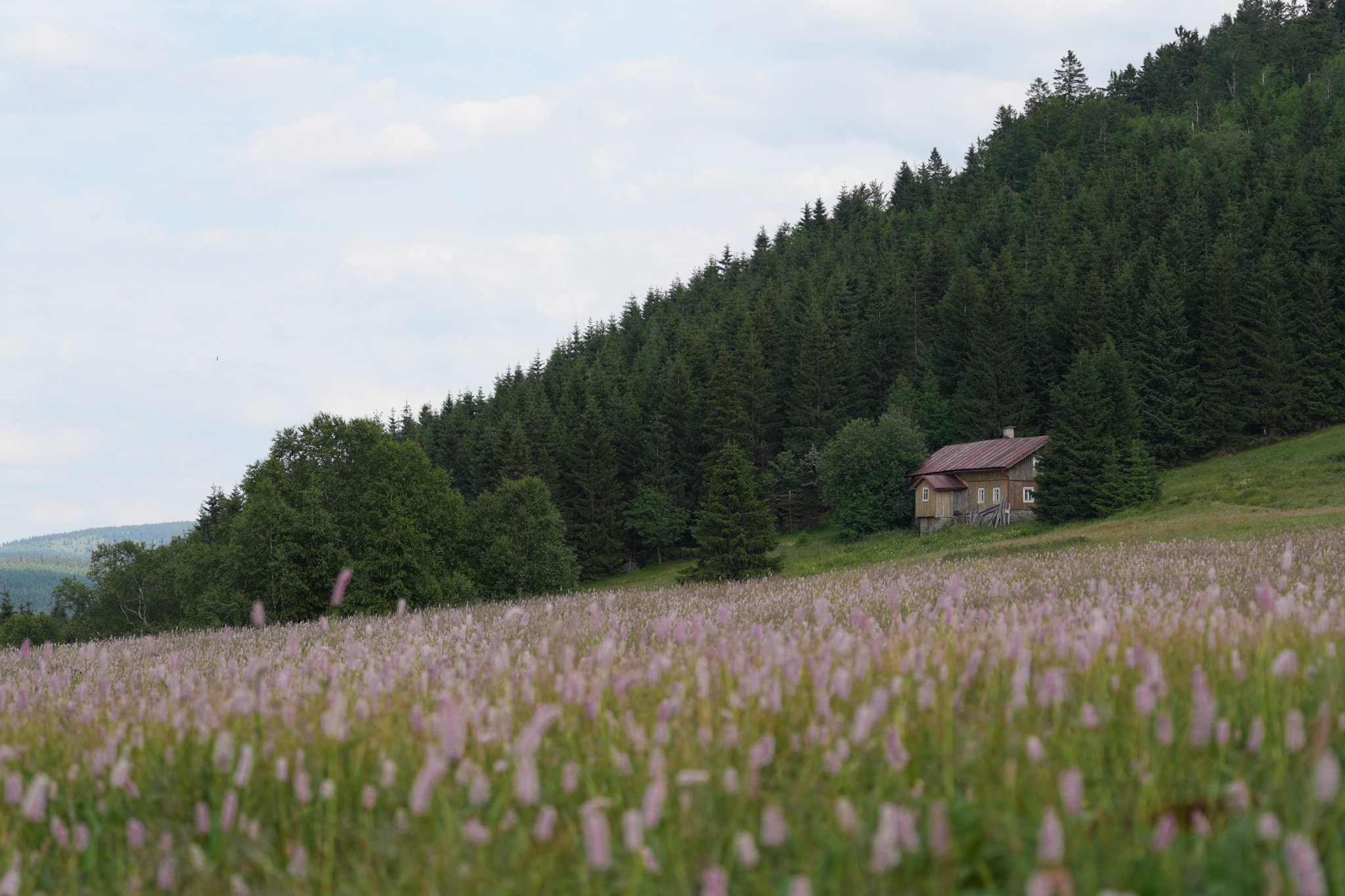 Sony A6700